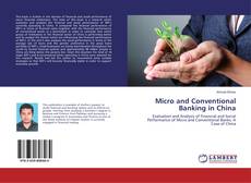 Copertina di Micro and Conventional Banking in China