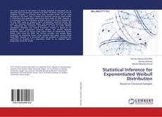 Buchcover von Statistical Inference for Exponentiated Weibull Distribution