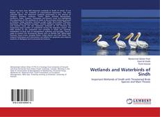 Buchcover von Wetlands and Waterbirds of Sindh