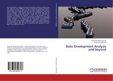 Couverture de Data Envelopment Analysis and beyond