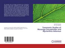 Buchcover von Taxonomic Studies of Musanga Cecropioides and Myrianthus Arboreus