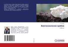 Buchcover von Биотехнология грибов