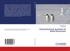 Buchcover von Electrochemical Synthesis of Metal Nanowires