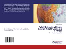 Couverture de What Determines Chinese Foreign Direct Investments in Africa?