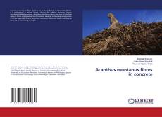 Buchcover von Acanthus montanus fibres in concrete