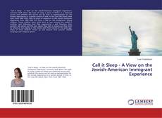 Buchcover von Call it Sleep - A View on the Jewish-American Immigrant Experience