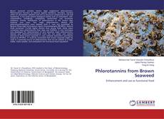 Buchcover von Phlorotannins from Brown Seaweed