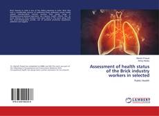 Copertina di Assessment of health status of the Brick industry workers in selected