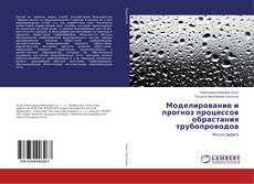 Buchcover von Моделирование и прогноз процессов обрастания трубопроводов