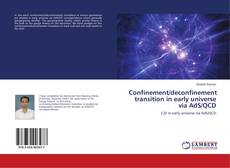 Copertina di Confinement/deconfinement transition in early universe via AdS/QCD