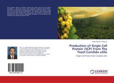 Buchcover von Production of Single Cell Protein (SCP) From The Yeast Candida utilis