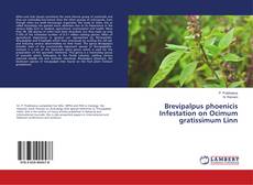 Borítókép a  Brevipalpus phoenicis Infestation on Ocimum gratissimum Linn - hoz