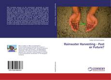 Copertina di Rainwater Harvesting - Past or Future?