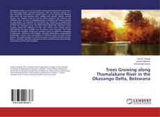 Buchcover von Trees Growing along Thamalakane River in the Okavango Delta, Botswana