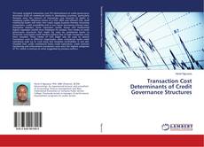Buchcover von Transaction Cost Determinants of Credit Governance Structures