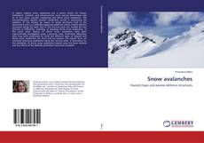 Copertina di Snow avalanches