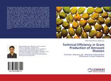 Buchcover von Technical Efficiency in Gram Production of Amravati Division
