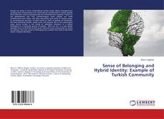 Buchcover von Sense of Belonging and Hybrid Identity: Example of Turkish Community