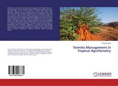 Copertina di Termite Management in Tropical Agroforestry