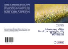 Buchcover von Enhancement of Rice Growth via Inoculation with Rhizobium and Rhizobacteria