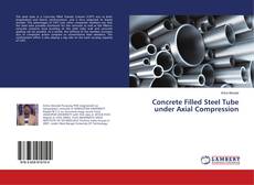 Buchcover von Concrete Filled Steel Tube under Axial Compression