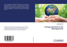 Copertina di Energy Scenario & Its Management