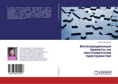 Buchcover von Интеграционные проекты на постсоветском пространстве
