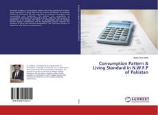 Copertina di Consumption Pattern & Living Standard in N.W.F.P of Pakistan