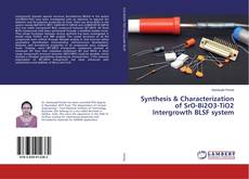 Buchcover von Synthesis & Characterization of SrO-Bi2O3-TiO2 Intergrowth BLSF system