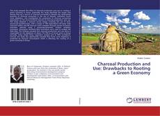 Buchcover von Charcoal Production and Use: Drawbacks to Rooting a Green Economy