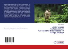 Buchcover von Anthracnose (Colletotrichum Gloeosporioides) disease on Mango (Mangif