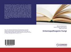 Buchcover von Entomopathogenic Fungi