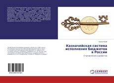 Bookcover of Казначейская система исполнения бюджетов в России