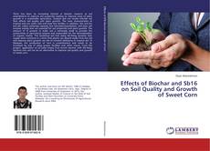 Buchcover von Effects of Biochar and Sb16 on Soil Quality and Growth of Sweet Corn