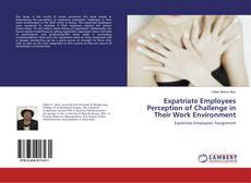 Copertina di Expatriate Employees Perception of Challenge in Their Work Environment