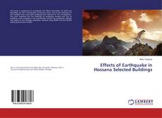 Copertina di Effects of Earthquake in Hossana Selected Buildings