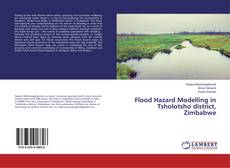 Buchcover von Flood Hazard Modelling in Tsholotsho district, Zimbabwe