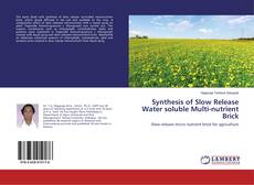 Buchcover von Synthesis of Slow Release Water soluble Multi-nutrient Brick