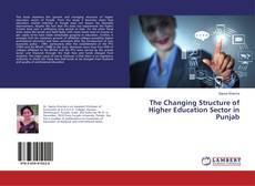 Buchcover von The Changing Structure of Higher Education Sector in Punjab