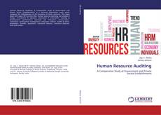 Copertina di Human Resource Auditing