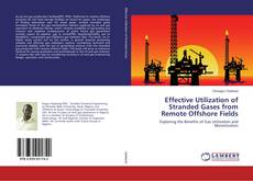 Buchcover von Effective Utilization of Stranded Gases from Remote Offshore Fields
