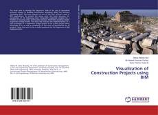 Copertina di Visualization of Construction Projects using BIM