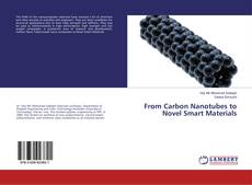Buchcover von From Carbon Nanotubes to Novel Smart Materials