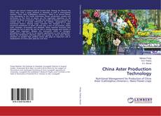 Copertina di China Aster Production Technology
