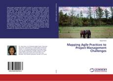 Copertina di Mapping Agile Practices to Project Management Challenges
