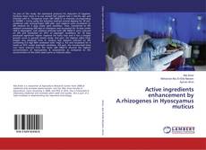 Copertina di Active ingredients enhancement by A.rhizogenes in Hyoscyamus muticus