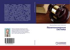 Пенитенциарные системы的封面