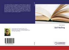 Copertina di Soil Nailing