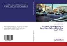 Copertina di Strategic Maneuvering in American Civil and Criminal Court Trials