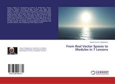 Copertina di From Real Vector Spaces to Modules in 7 Lessons